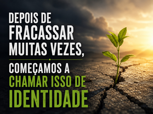 Pequena planta surgindo de uma fenda no deserto